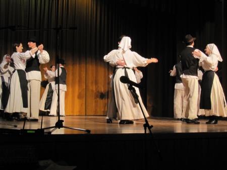 Območno srečanje odraslih folklornih skupin 2013 4